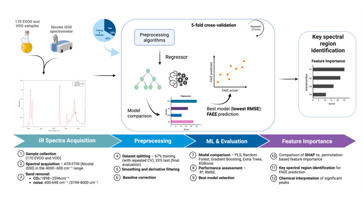 Dai ricercatori METROFOOD-IT un nuovo metodo “intelligente” per valutare la qualità dell’olio extra vergine d’oliva
