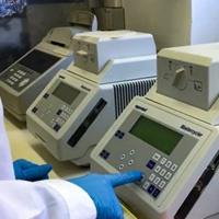 Laboratori di Microbiologia – PCR e sequenziamento