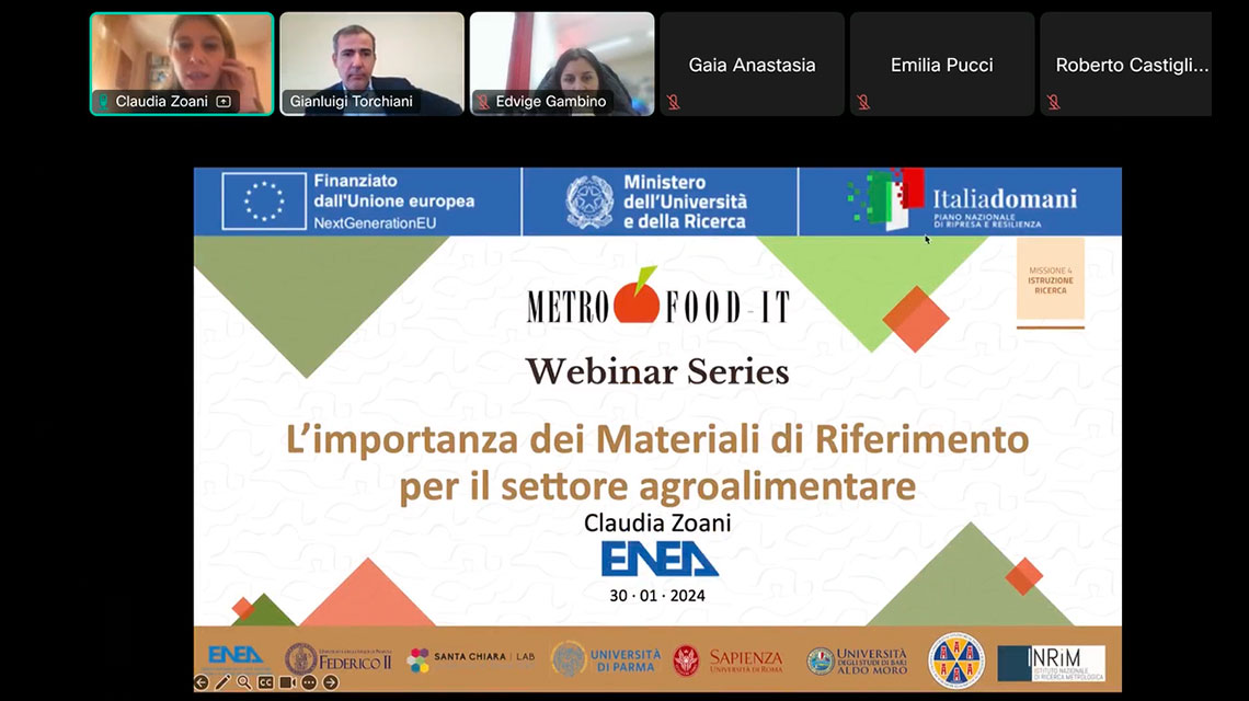 webinar screenshot