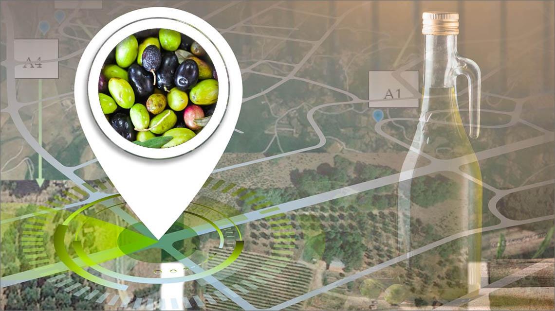 mappatura olive