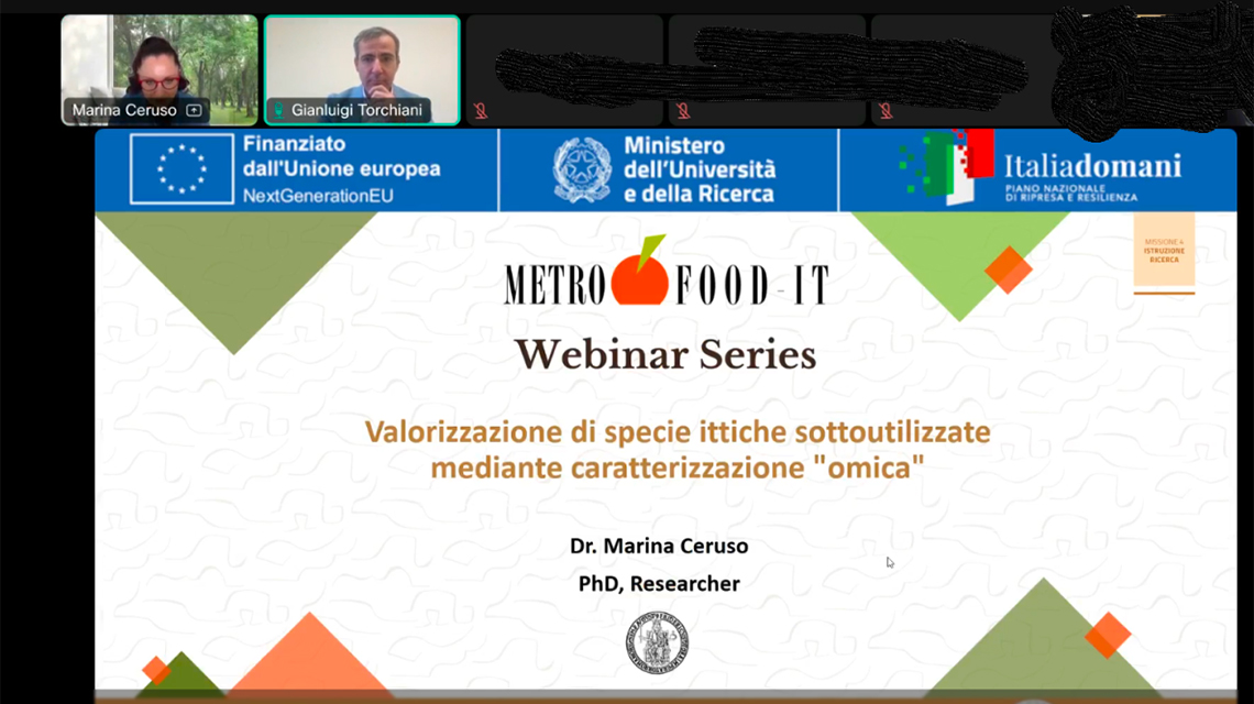 screenhot webinar
