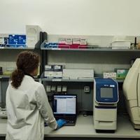 Real-time PCR per l’autenticazione di specie 
