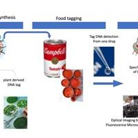 Tecnologia bio-based e biosensing 