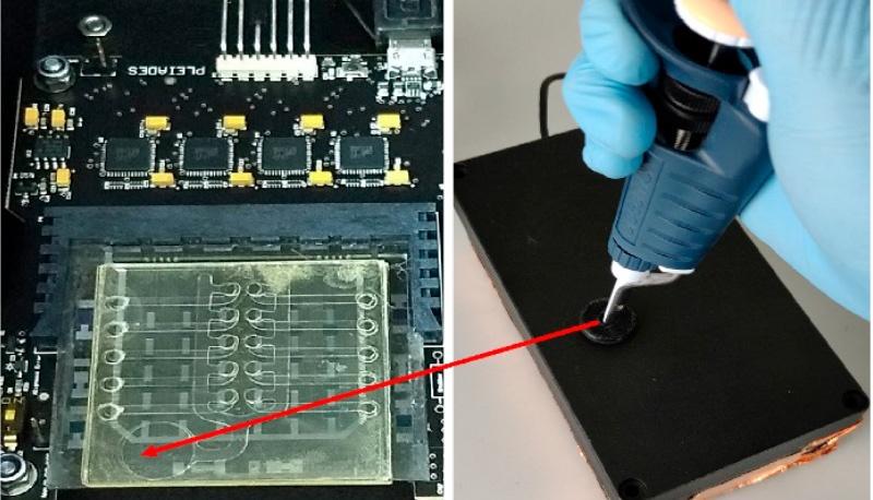 Sistemi lab-on-chip portatili 